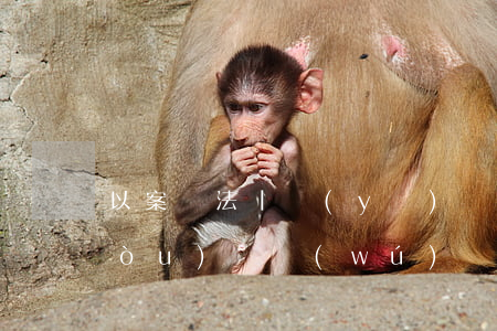 以案釋法|醫(yī)療機(jī)構(gòu)從無(wú)資質(zhì)單位購(gòu)買藥品應(yīng)給予處罰